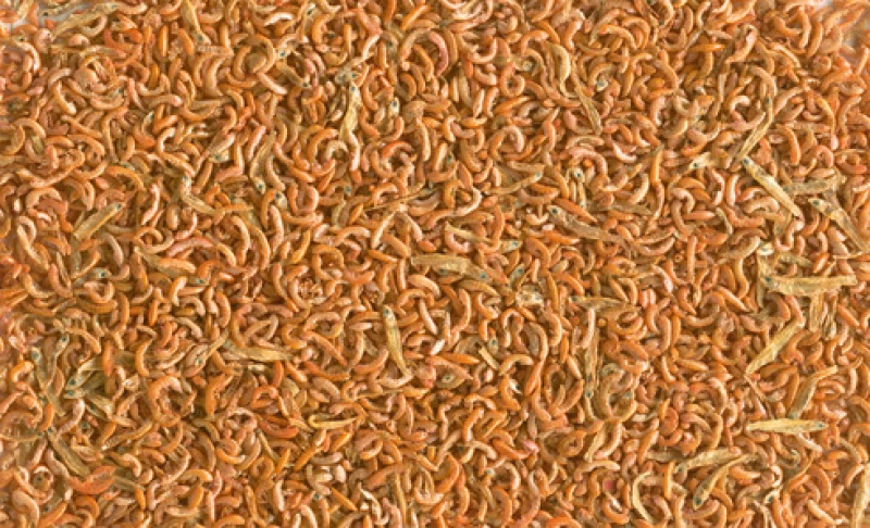 Tetra Gammarus Mix για Νεροχελώνες 25gr