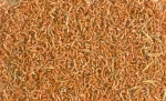 Tetra Gammarus Mix για Νεροχελώνες 25gr