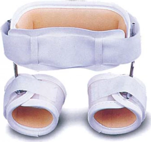 Ortholand Divar Baby 2004