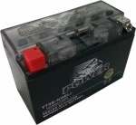 Power Batteries Gel 8Ah (YT9B-4)