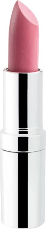 Seventeen Matte Lasting Lipstick 15