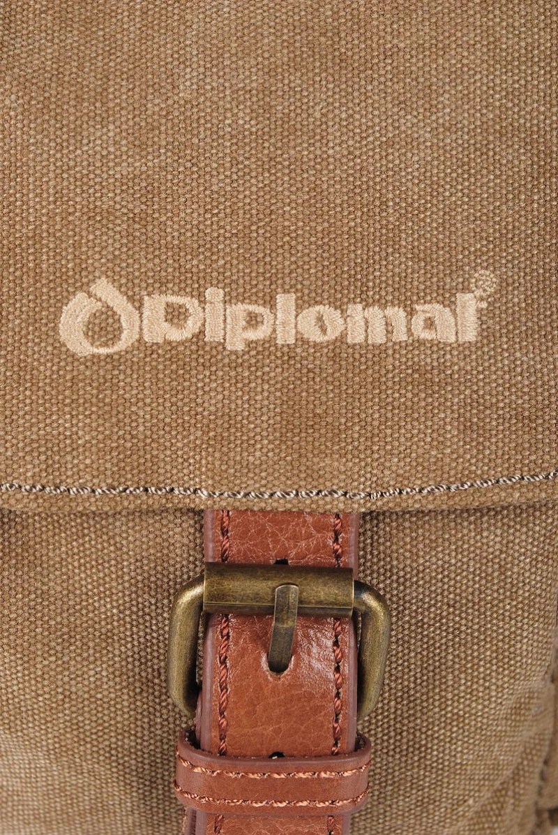 Τσαντάκι Ωμου 19cm με Αγκράφα Vintage Diplomat Tr21 Καφε