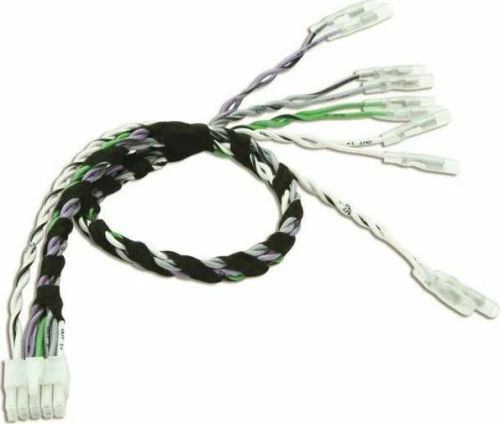 AUDISON - Prima AP SPK Out 5.9