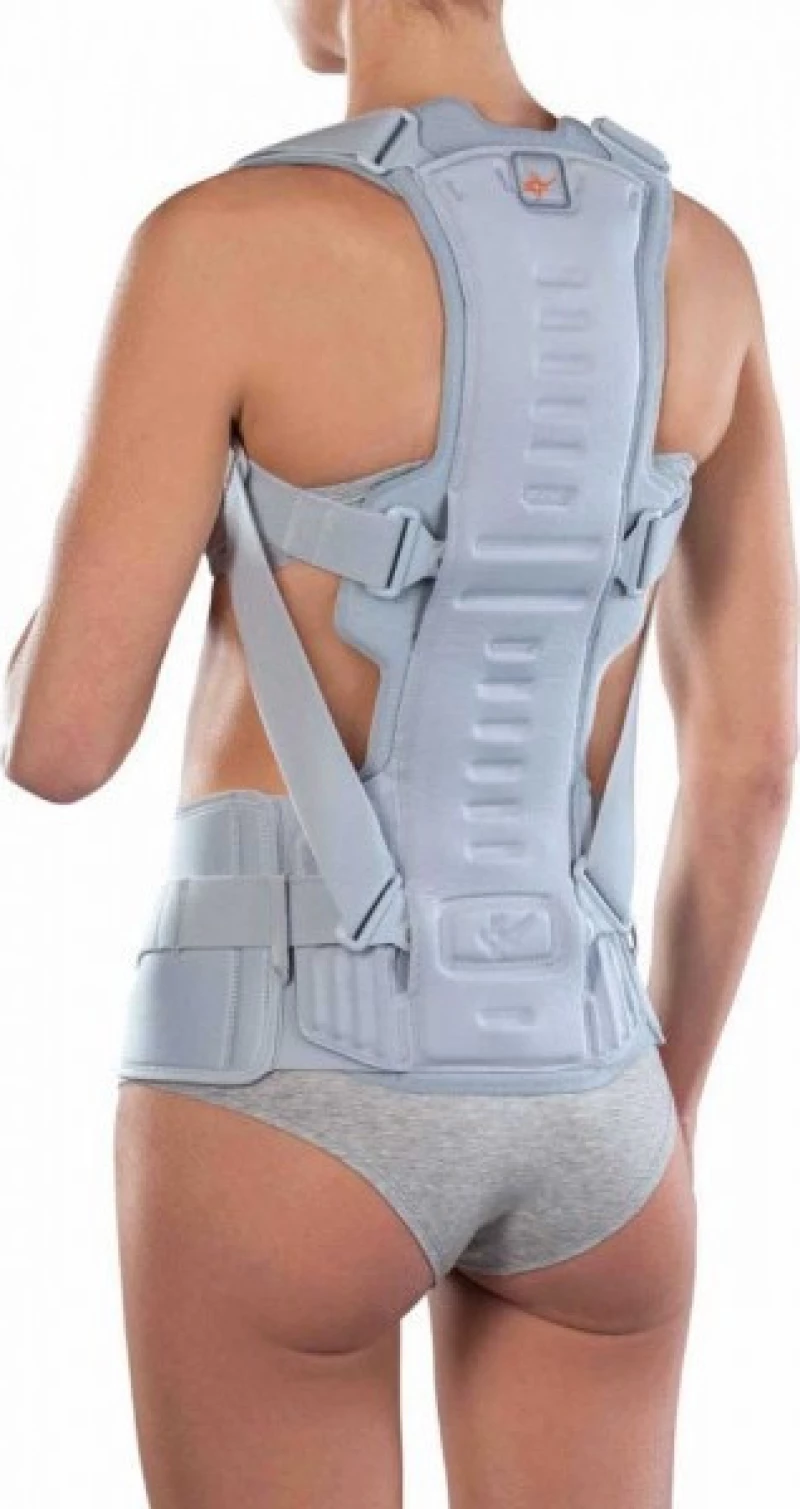 Ortholand Spinal plus 2