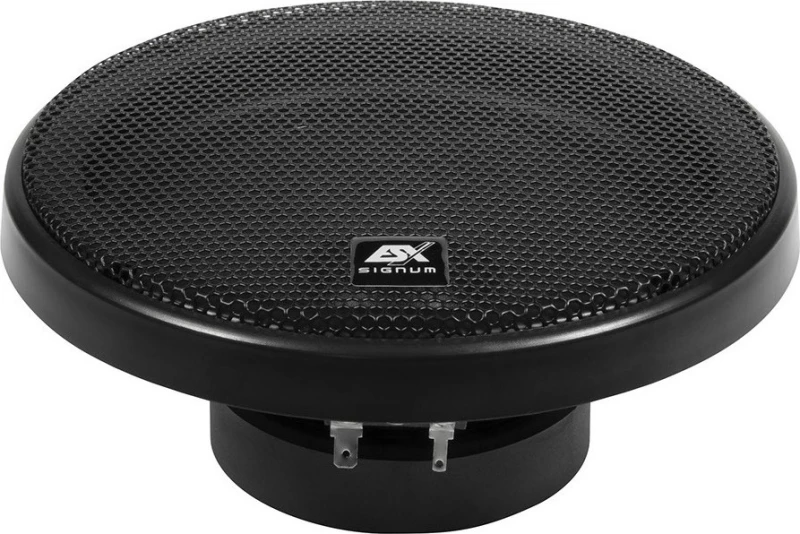 Esx SXE 6.2 C 100W