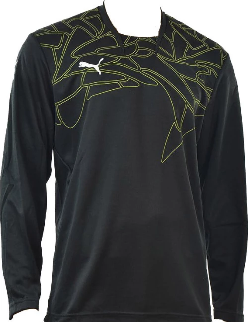 Puma Graphic