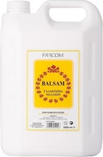 Farcom Balsam Γαλάκτωμα Μαλλιών 3500ml