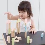 Plan Toys Wooden Blocks 40τμχ