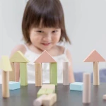Plan Toys Wooden Blocks 40τμχ