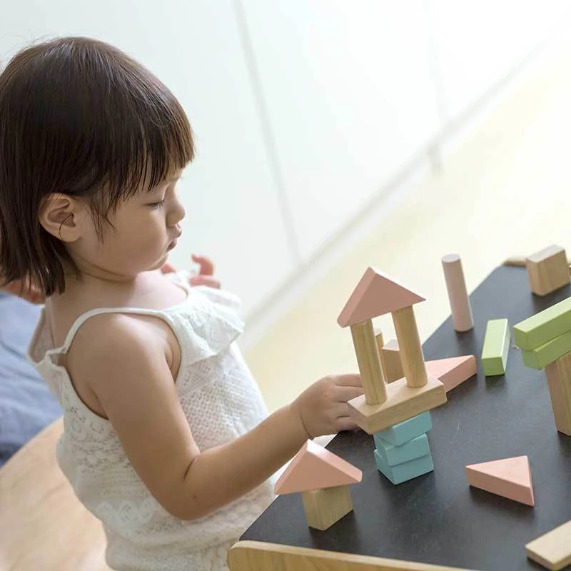 Plan Toys Wooden Blocks 40τμχ