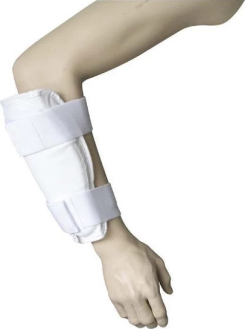 Amila 37179 Επιαγκωνίδα (M)