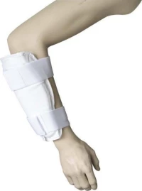 Amila 37179 Επιαγκωνίδα (M)