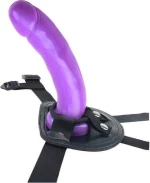 Chisa Novelties Harness and Probe Purple