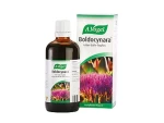 A.Vogel Boldocynara 50ml Βάμμα Ηπατοπροστατευτικό