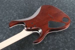 Ηλεκτρική κιθάρα ibanez rga42fm-def