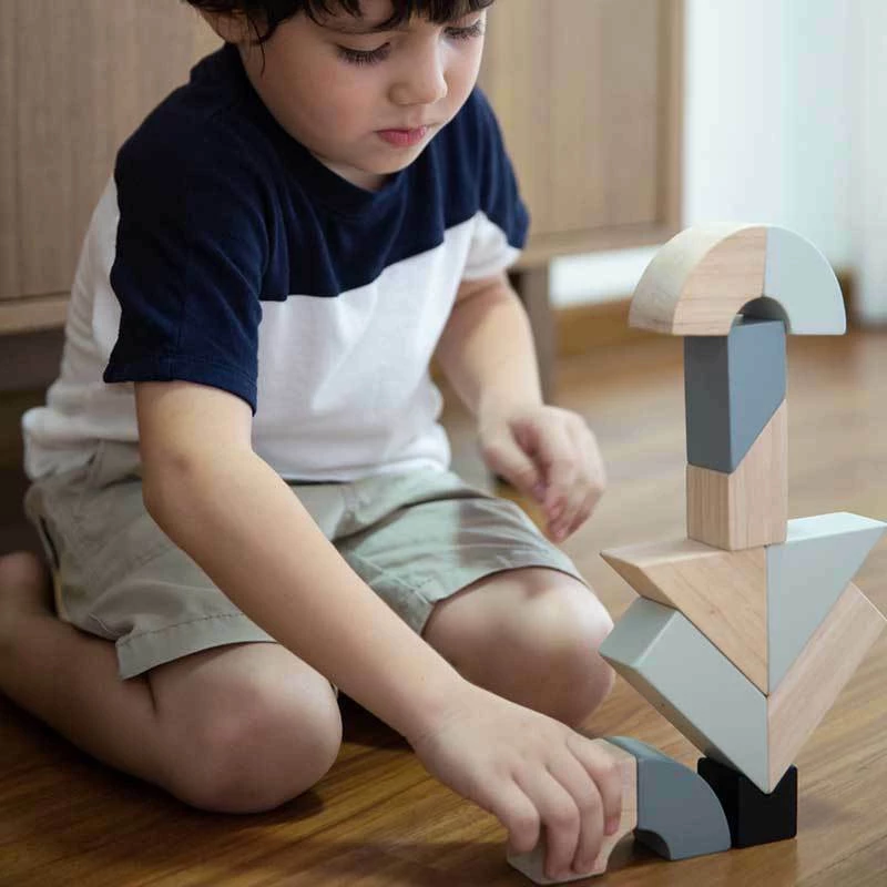 Plan Toys Περιστρεφόμενα Τουβλάκια 8τμχ