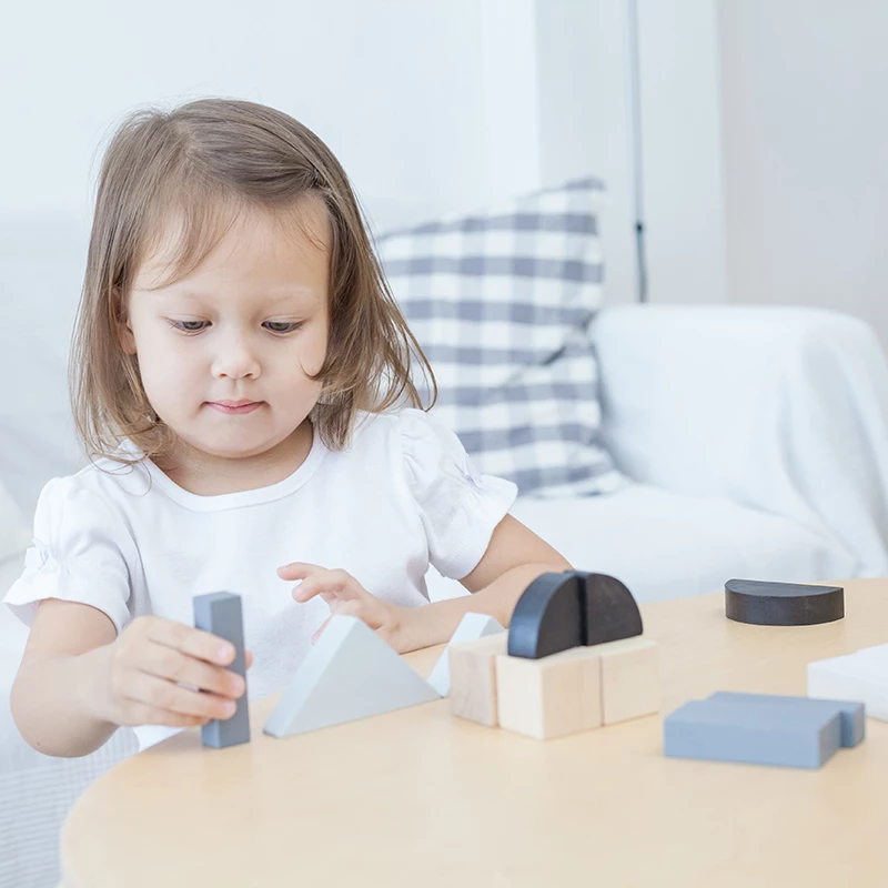 Plan Toys Κλάσματα με Τουβλάκια 15τμχ