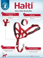 Εκπαιδευτικό Περιστόμιο Halti No4 (46-62cm)