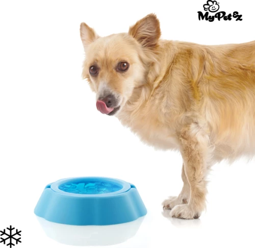 InnovaGoods Pet Frosty Bowl