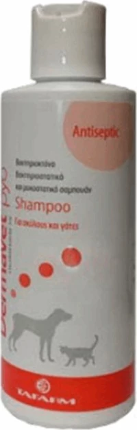 Tafarm DermaVet PYO Αντισηπτικό Σαμπουάν 200ml