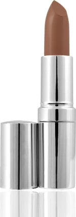 Seventeen Matte Lasting Lipstick 01
