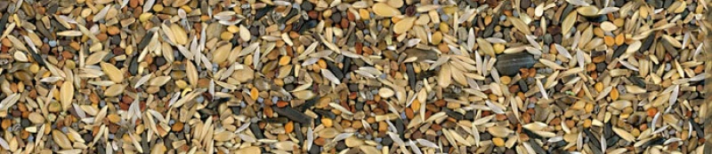 Manitoba Cardellini για Καρδερίνες & Αγριοπούλια 1kg