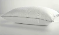 Vesta Home Quallofil Air Allerban 35x50cm