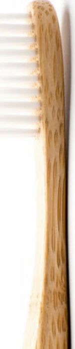 The Humble Co. Adult Medium White