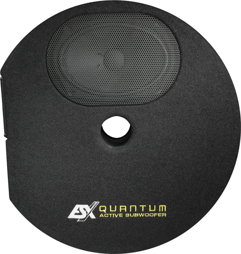Esx Q-300A Active Subwoofer System