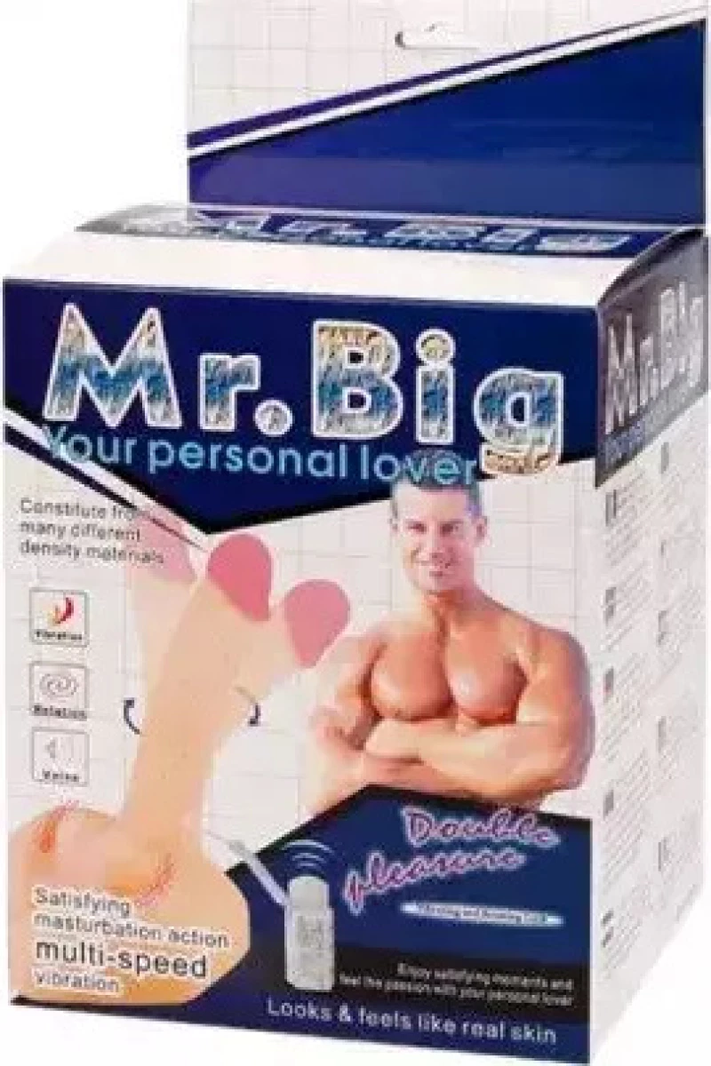 Baile Mr. Big Personal Lover FLesh