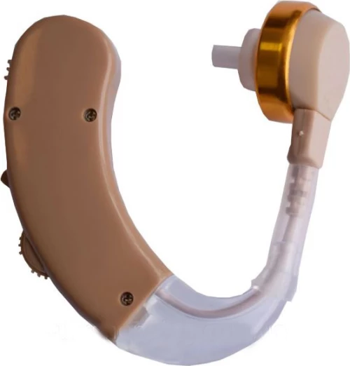 Voice Amplifier A-33