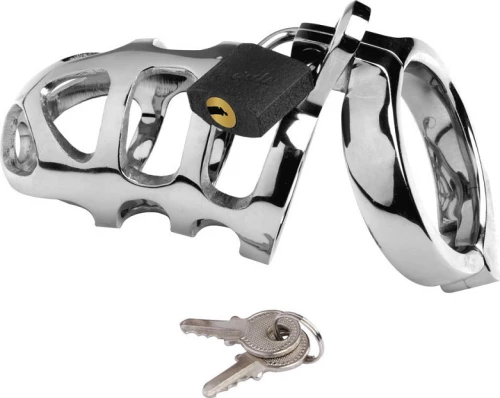 METAL HARD COCK RING RETAIN CAGE