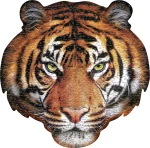puzzle tiger orange 550 pieces