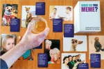As Company What Do You Meme?
