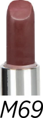 Deina Cosmetics Matte Lipstick M69