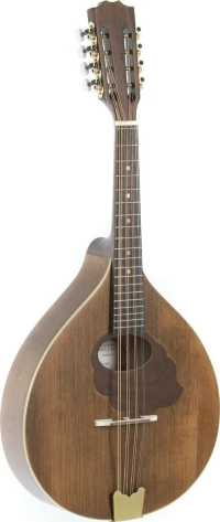 Gewa Mandola Pro Arte - Antique