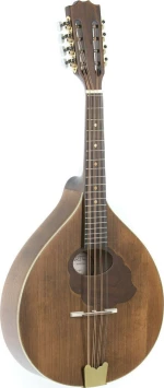 Gewa Mandola Pro Arte - Antique