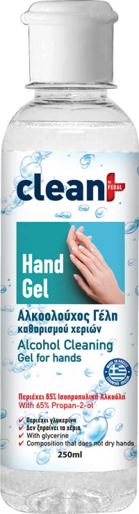 Auto Gs Clean+ By Feral 250ml