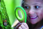 Hape Nature Detective Set