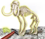 As Company Μαθαίνω & Δημιουργώ Τρικεράτωψ Fluo