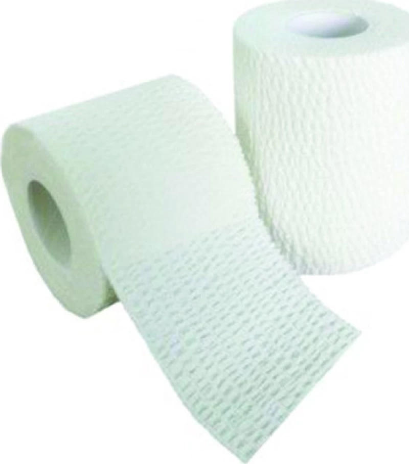 Asepta Idealelastic 8cm x 4m