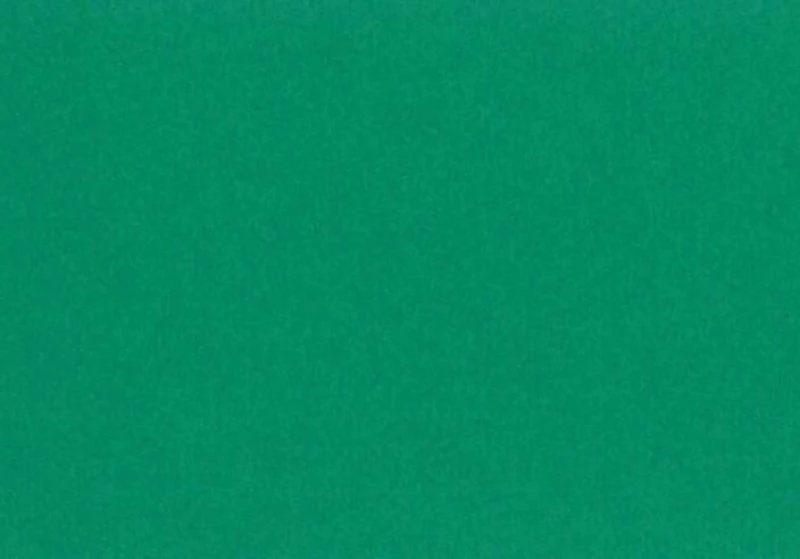 Canson Χαρτόνι Κανσόν Colorline 300 Moss Green 220gr 50x70cm 1τμχ