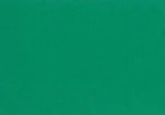 Canson Χαρτόνι Κανσόν Colorline 300 Moss Green 220gr 50x70cm 1τμχ