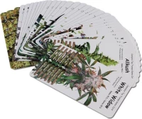 Παιχνίδι Καρτών Cannabis - Limited Edition
