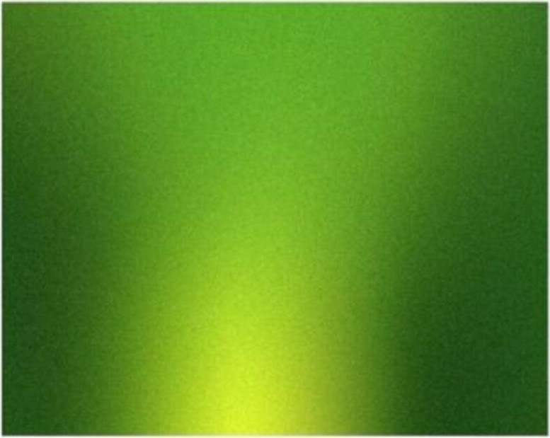 Χαρτόνια Μεταλλιζέ Μονής Όψης Colorfix Πράσινο 50Χ70Cm 250Γρ. 190250-5