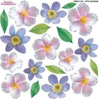 Τυπωμένo φύλλο-Ζελατίνη για Sospeso - Anemone