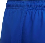 Adidas LINEAGE SWIM SHORTS GN5898