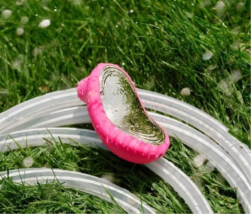 Lelo Sona 2 Cerise
