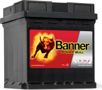 Banner Power Bull 42Ah (P4208)