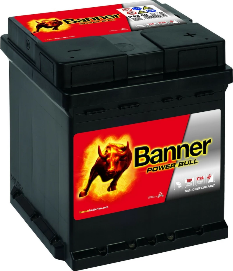 Banner Power Bull 42Ah (P4208)